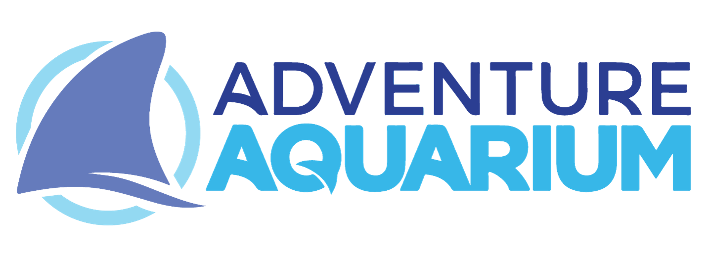 adventure aquarium