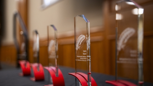 Awards for RSBC Celebration of Distinction