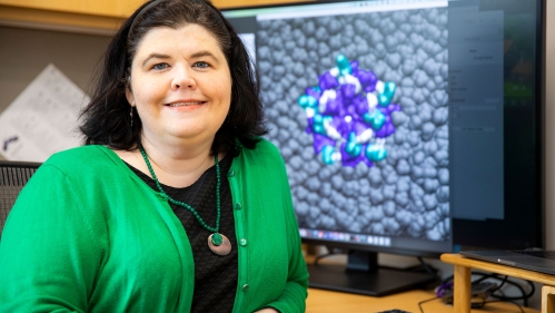 Grace Brannigan, associate professor of physics and director of the Center for Computational and Integrative Biology