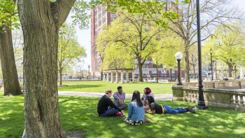 students sitting outside on grass in front of Johnson Park