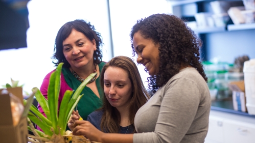 Students in botany experiment
