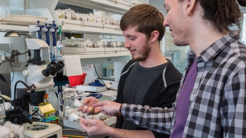 Students in laboratory