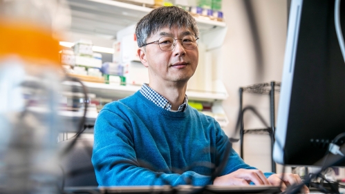 Professor of Biology Kwangwon Lee