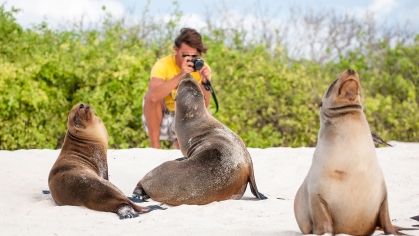 Student takes pictures of seals on the Galapagos Islands