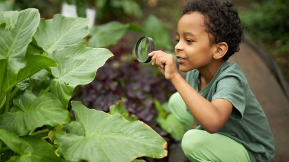 Child looking through magnifying glass examining a green leaf