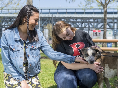 students petting dog