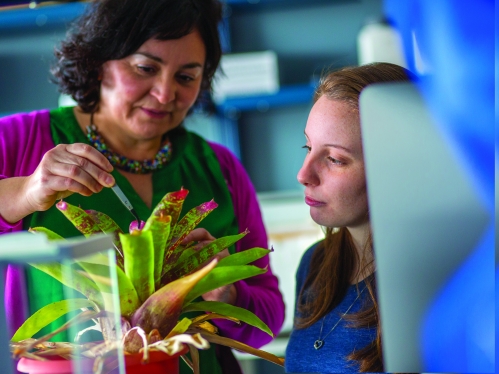 professor and student working in lab with plant