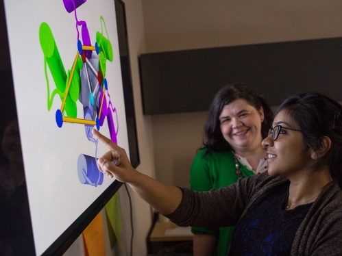 a female college student pointing to a graph projected on a wall while a female professor views her