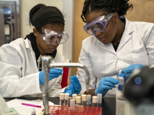 students in lab