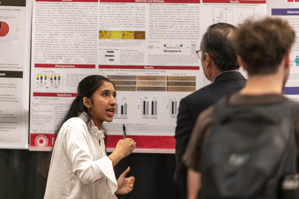 Students discuss research at CURCA.