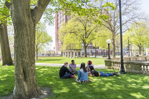 Students on grass having class